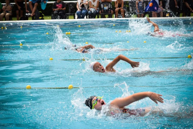 Torneo Regional en nuestro natatorio 🏊‍♀️

Fuimos anfitriones de un nuevo Torneo Regional de Natación, recibiendo a nadadores de diferentes delegaciones de Pehuajó y la zona.

Nuestros representantes dijeron presente en competencia, en las distintas categorías y sumando una nueva experiencia en su desarrollo dentro del agua.

👉 Leé la nota completa en caeu.com.ar
