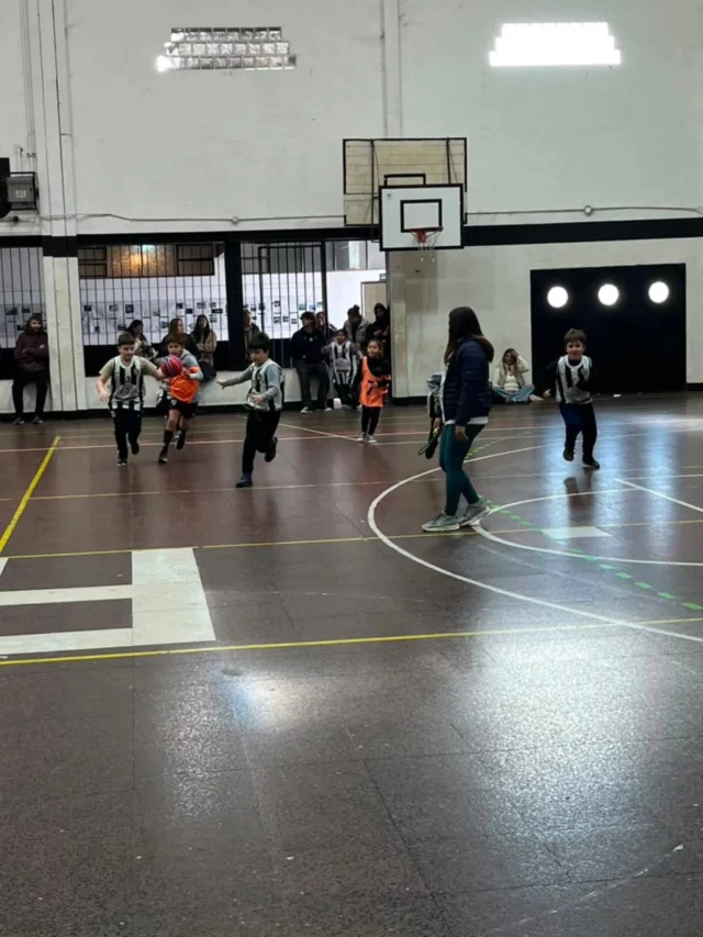 🏀 Encuentro de Premini y Mini en Estudiantes

Nuestro gimnasio fue sede de un encuentro de básquet que reunió a las categorías Premini y Mini de Estudiantes, el CEF N° 13 y la Escuela Municipal.

Más de 60 niños y niñas compartieron una jornada en la que el juego, el aprendizaje y la camaradería fueron los grandes protagonistas, disfrutando de numerosos partidos.

Agradecemos al CEF N° 13 y a la Escuela Municipal por acompañarnos y ser parte de una nueva jornada de básquet formativo. 

🖤🤍