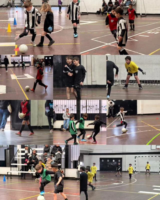 Futsal en el gimnasio ⚽️👏

Las categorías 2016, 2019 y 2020 participaron de un encuentro interno en la mañana de este sábado. 

Agradecemos a las familias que se acercaron a acompañar esta actividad que se dicta los lunes y miércoles de 10:00 a 11:00 en nuestro gimnasio. 

🖤🤍